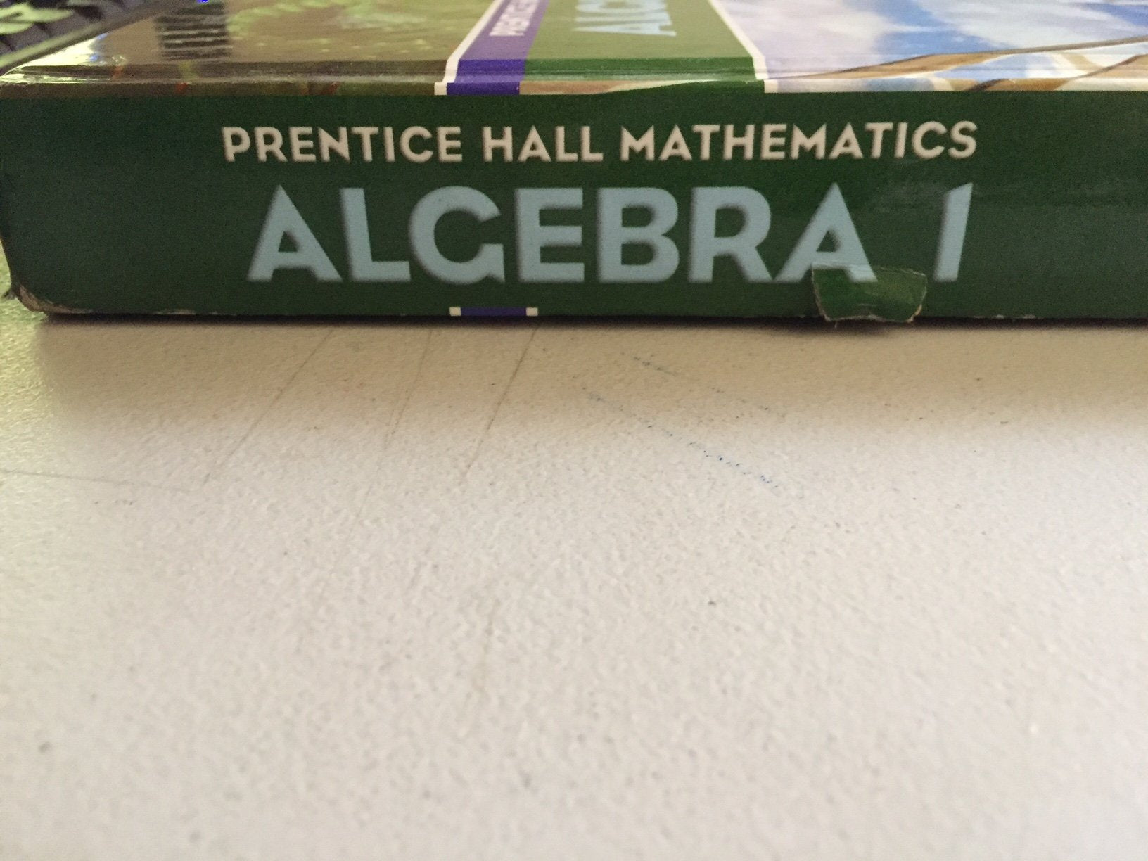 Algebra 1 (Prentice Hall Mathematics),New