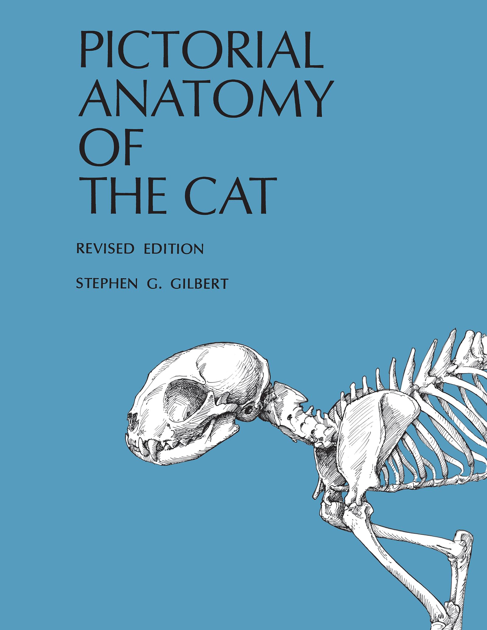 Pictorial Anatomy of the Cat,Used