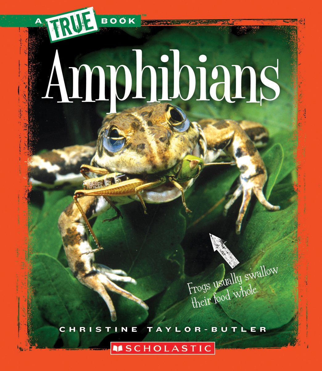 Amphibians (A True Book: Animal Kingdom) (Library Edition) (A True Book (Relaunch)),New