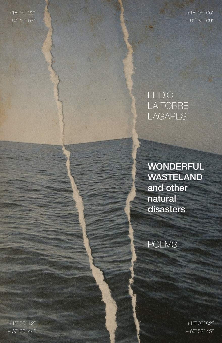 Wonderful Wasteland And Other Natural Disasters: Poems (Contemporary Poetry And Prose),Used