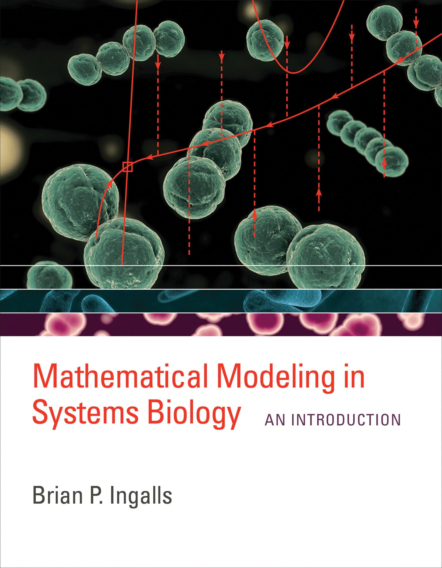 Mathematical Modeling in Systems Biology: An Introduction,Used