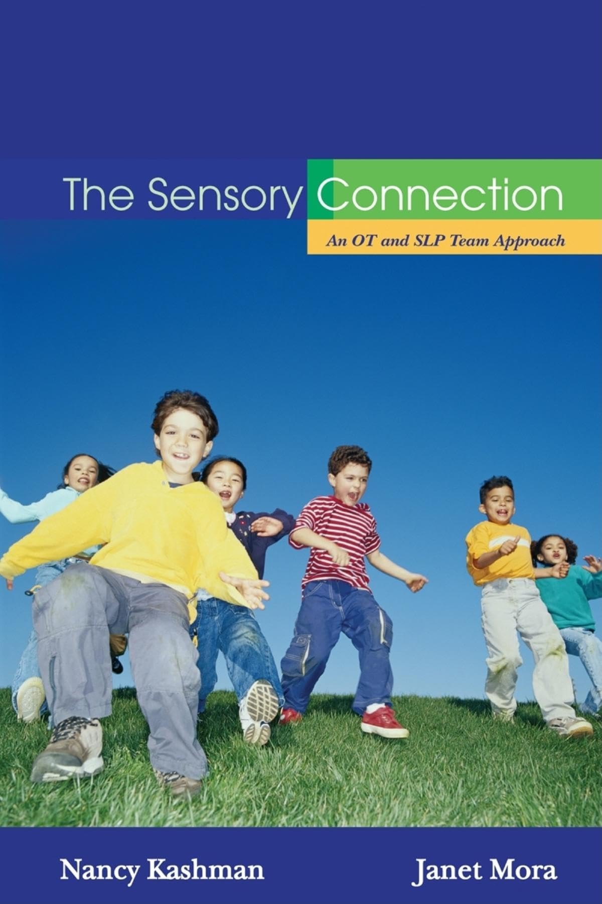 The Sensory Connection: An Ot And Slp Team Approach  Sensory And Communication Strategies That Work!