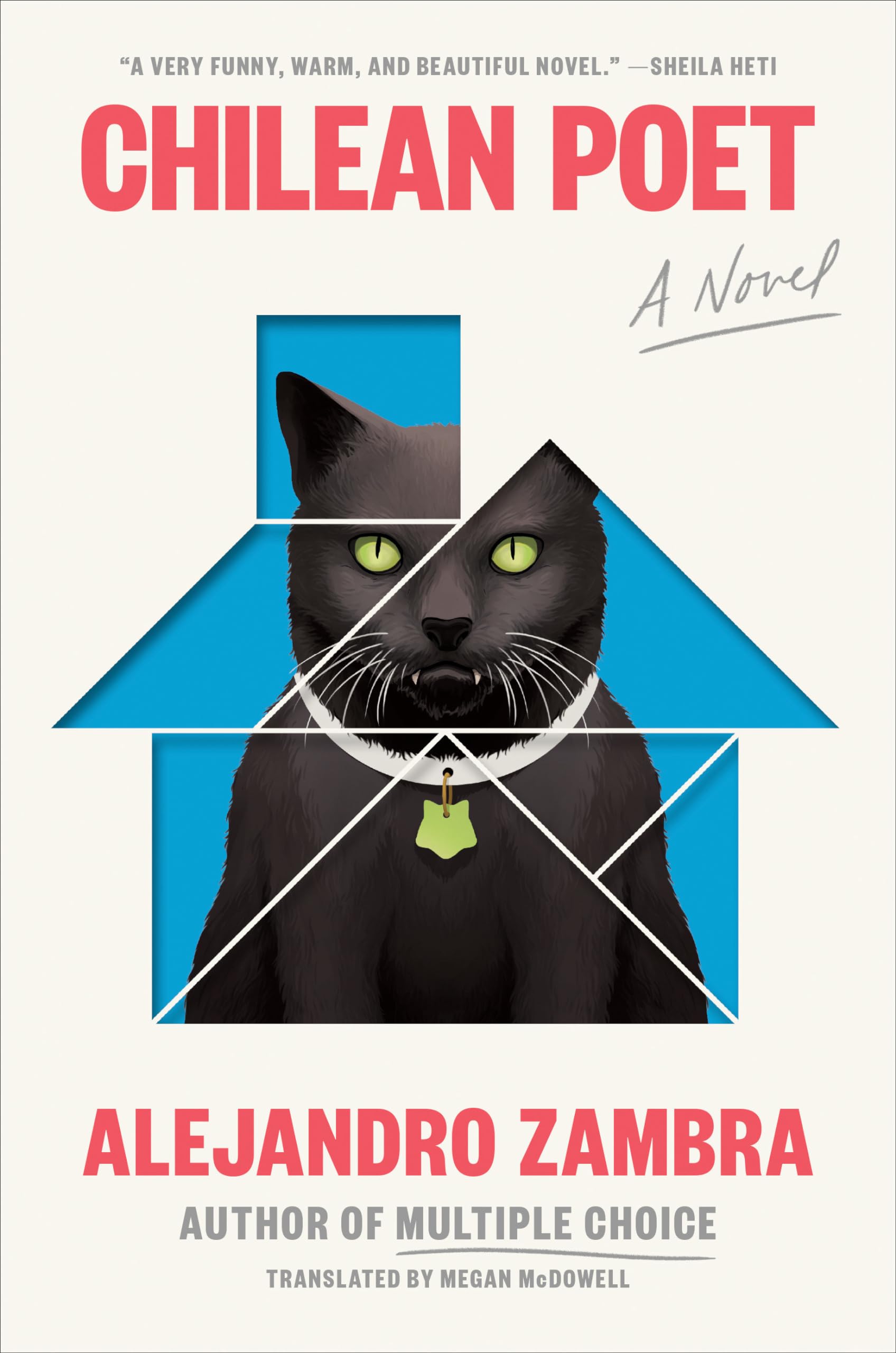Chilean Poet: A Novel,Used