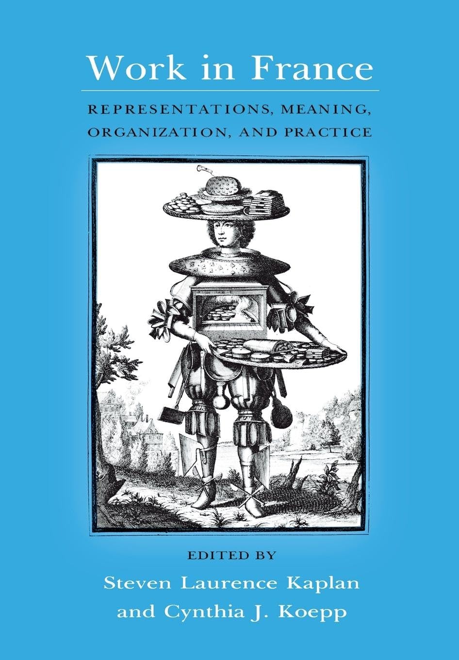 Work in France: Representations, Meaning, Organization, and Practice,Used