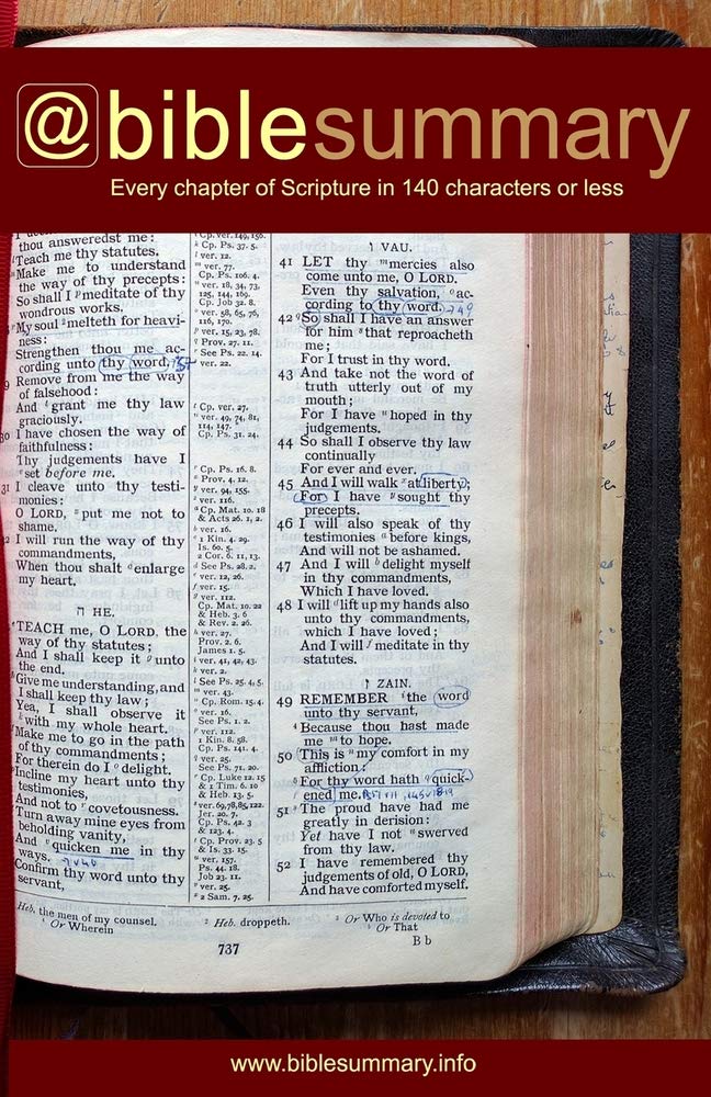 Bible Summary: Every Chapter in 140 Characters or Less,Used