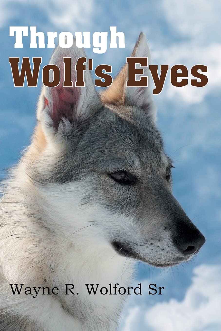 Through Wolf'S Eyes,Used