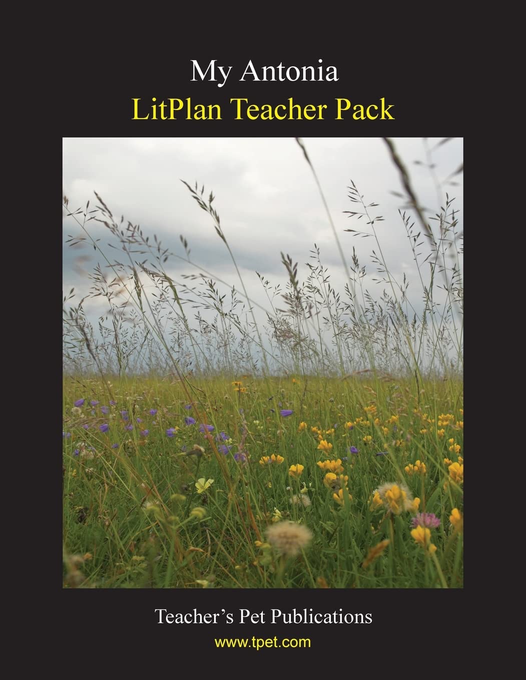 Litplan Teacher Pack: My Antonia,Used