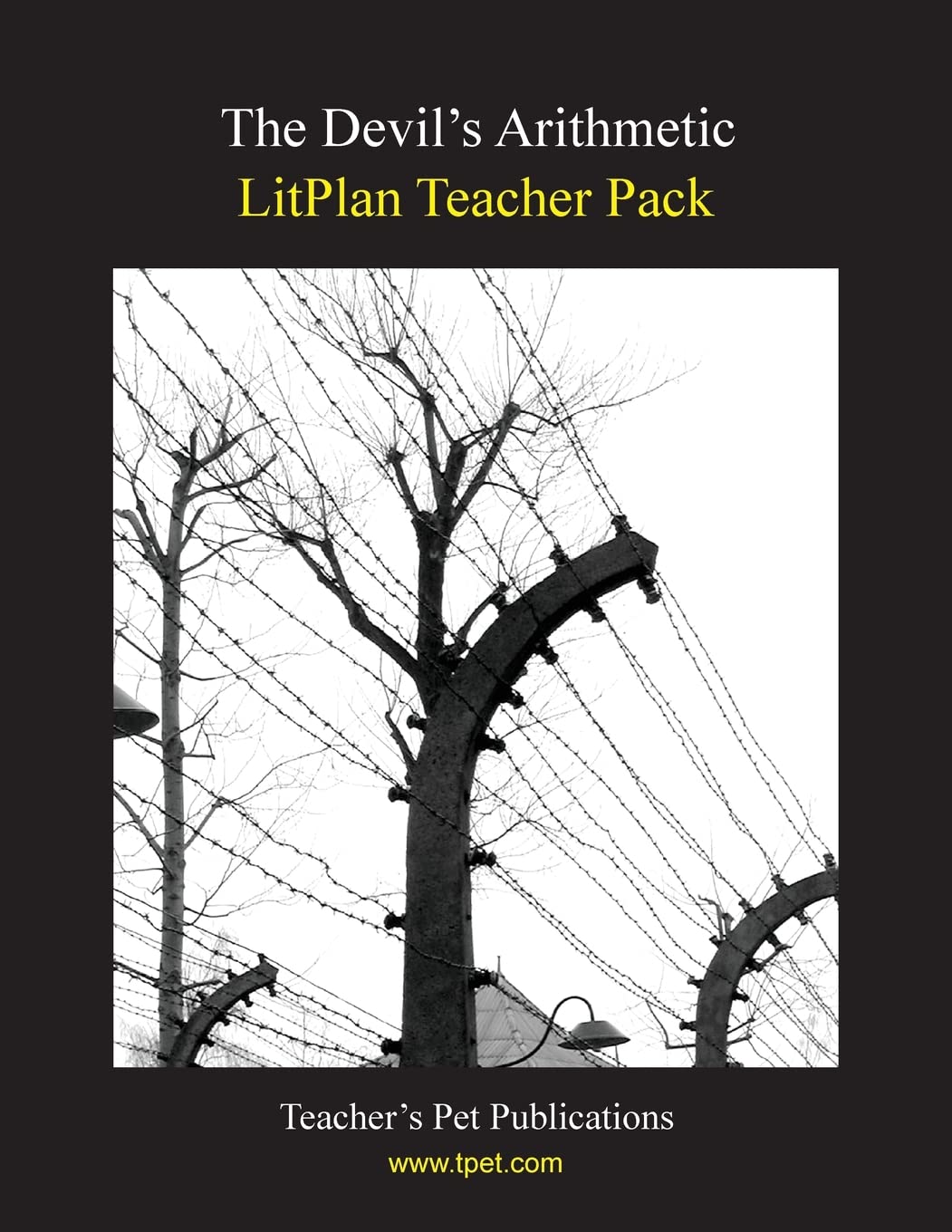Litplan Teacher Pack: The Devil'S Arithmetic,Used
