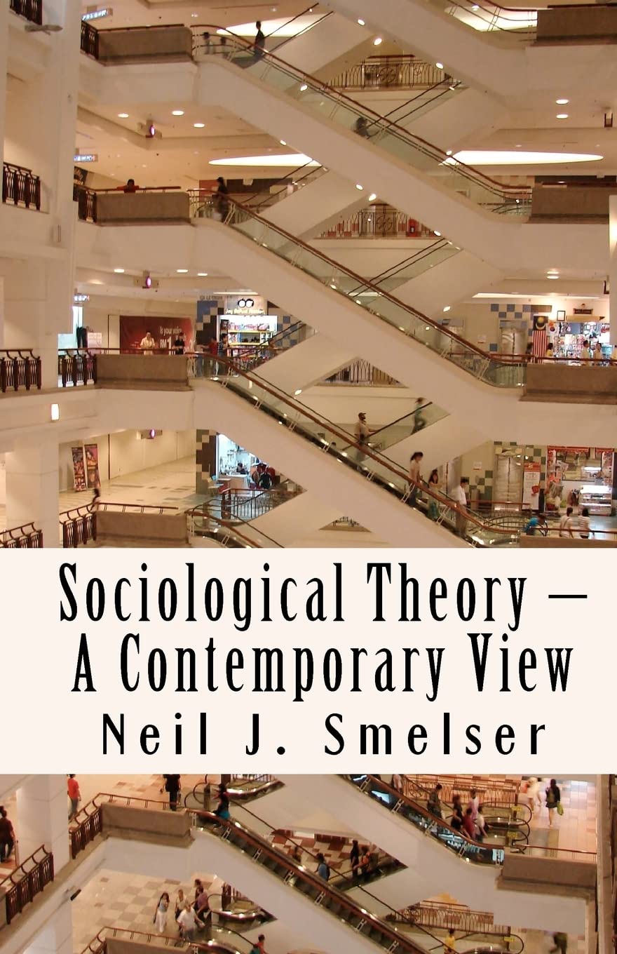 Sociological Theory  A Contemporary View: How to Read, Criticize and Do Theory (Classics of the Social Sciences),Used