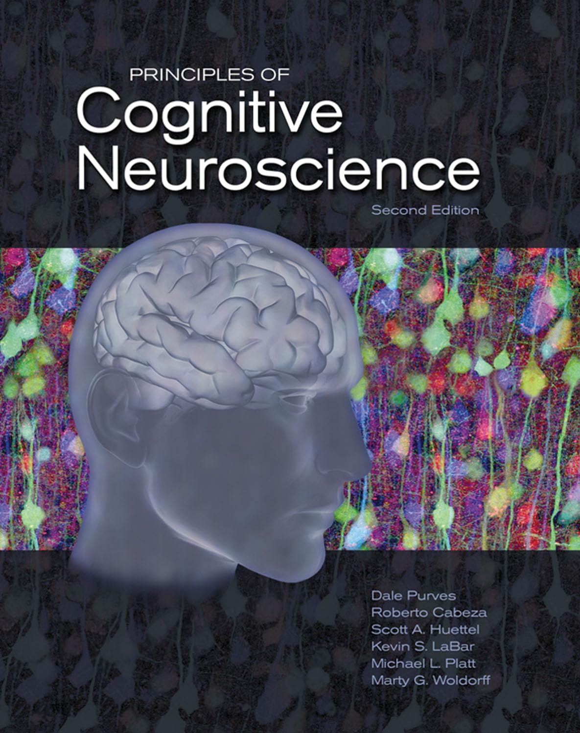 Principles of Cognitive Neuroscience,Used