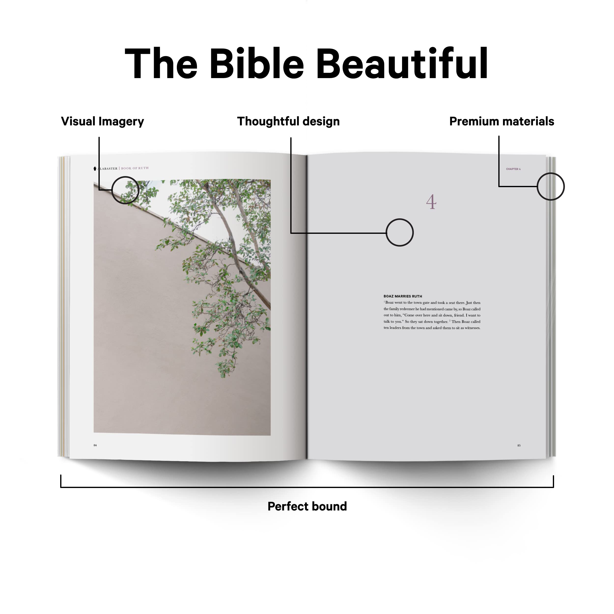 Book of Ruth Alabaster Bible,Used