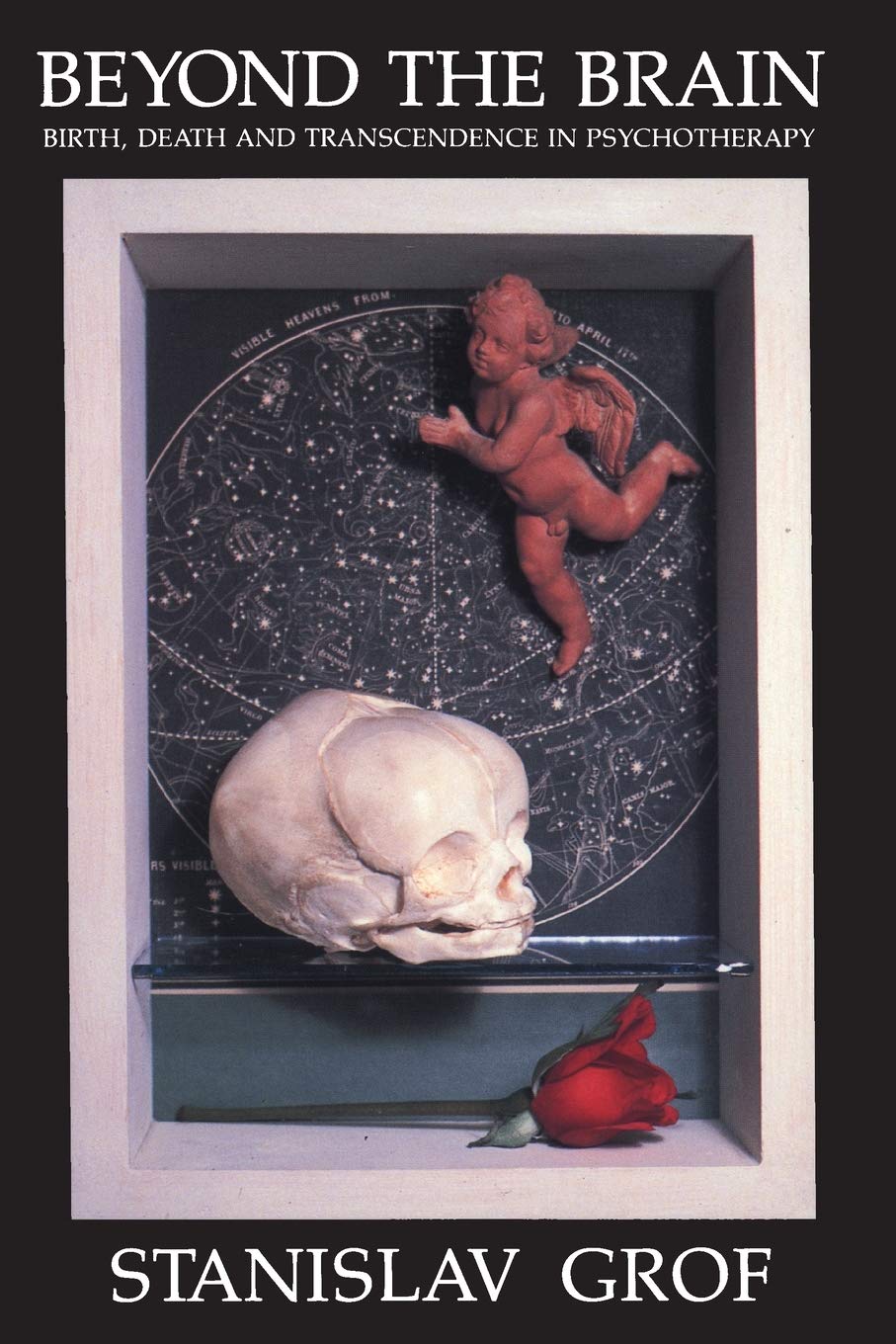 Beyond the Brain: Birth, Death, and Transendence in Psychotherapy (Suny Series in Transpersonal & Humanistic Psychology),Used