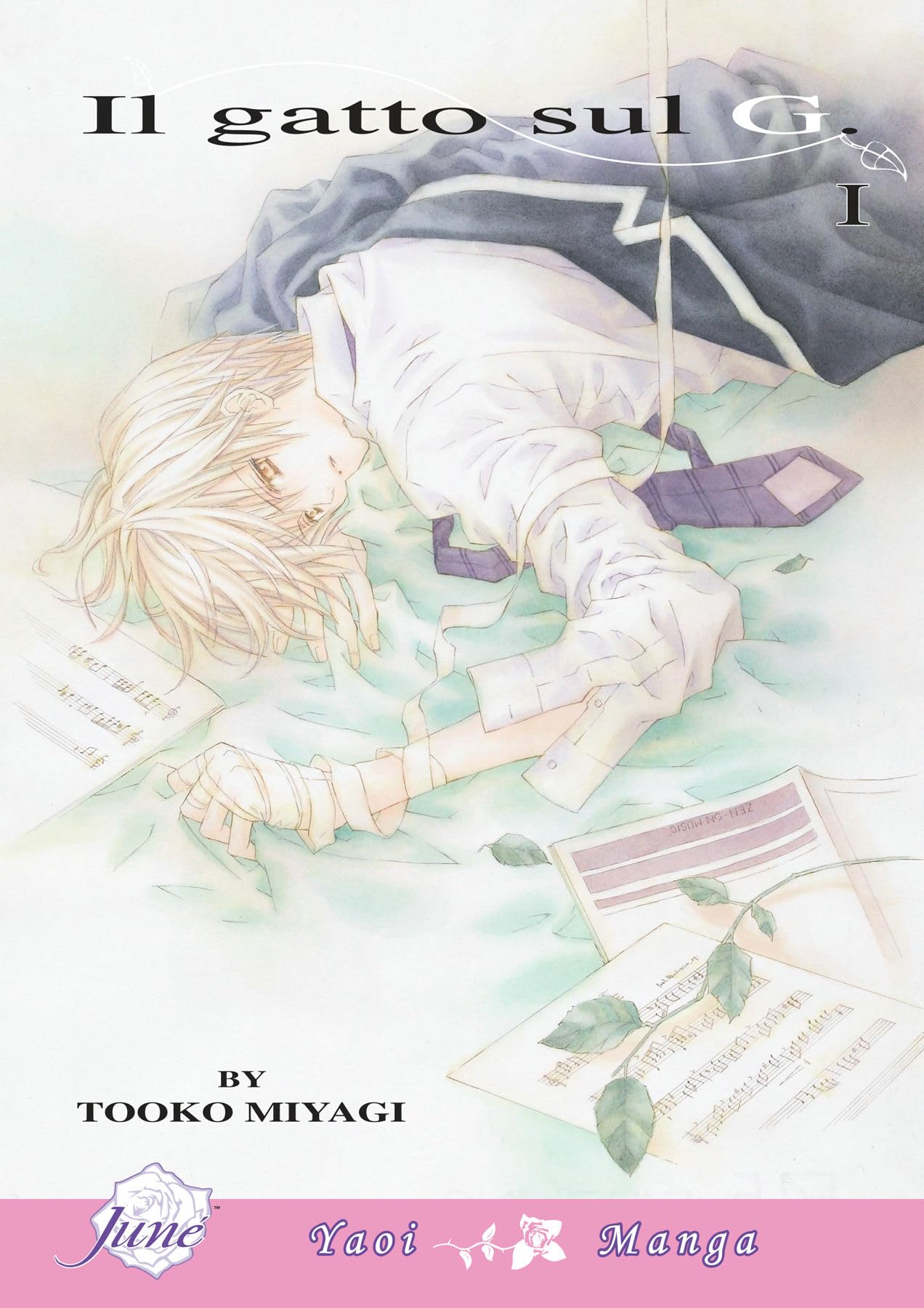Il Gatto Sul G, Volume 1,Used