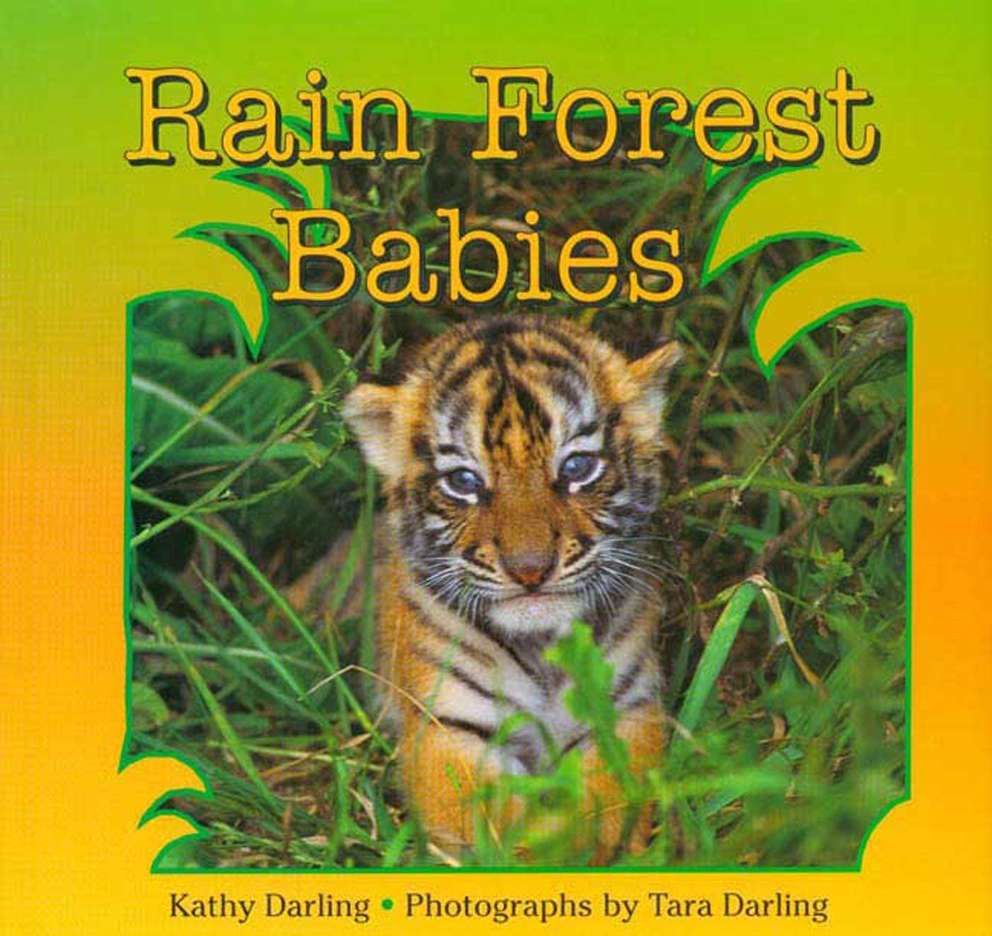 Rain Forest Babies,Used