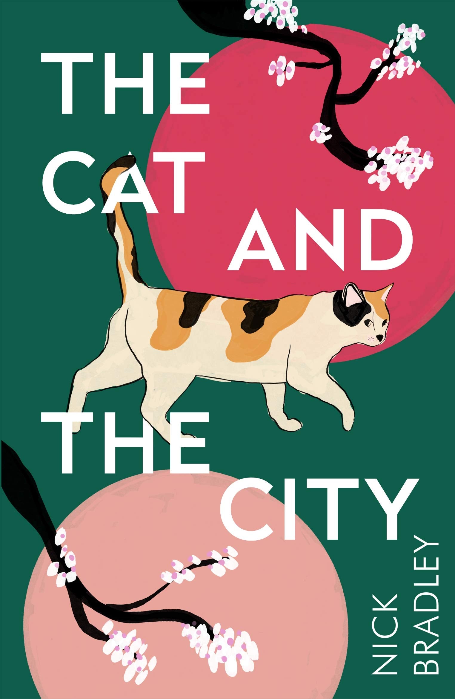 The Cat and The City,Used