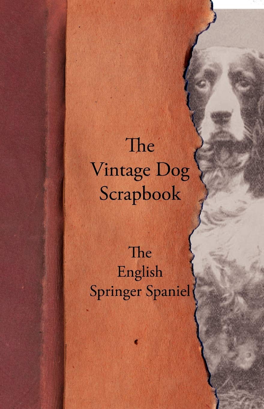 The Vintage Dog Scrapbook The English Springer Spaniel,Used