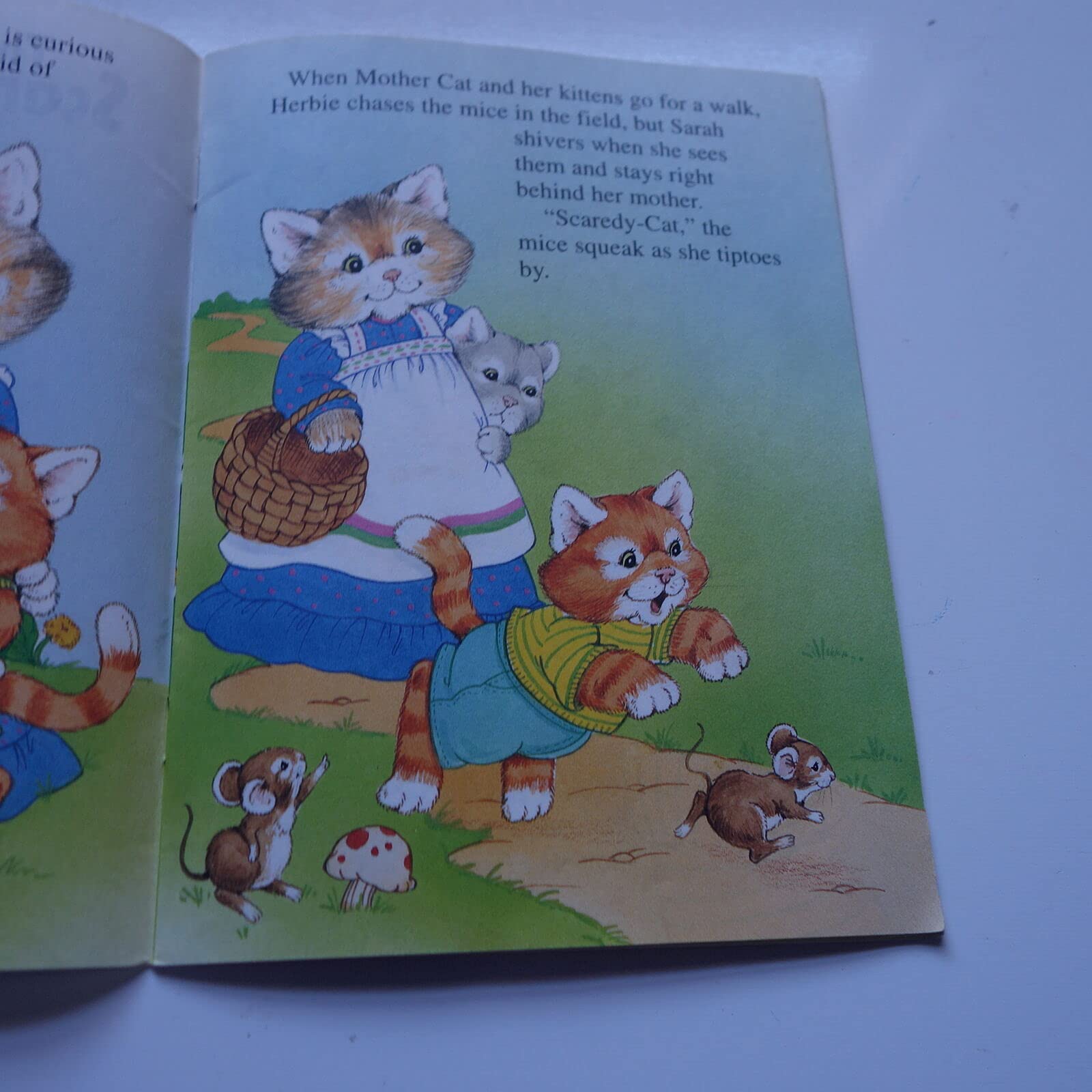 ScaredyCat Kitten (Storytime Books),Used
