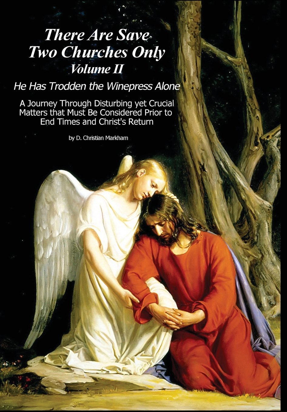There Are Save Two Churches Only, Volume II,Used
