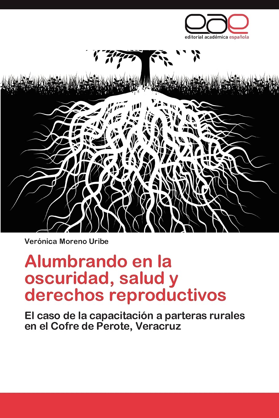 Alumbrando en la oscuridad, salud y derechos reproductivos: El caso de la capacitacin a parteras rurales en el Cofre de Perote,Used