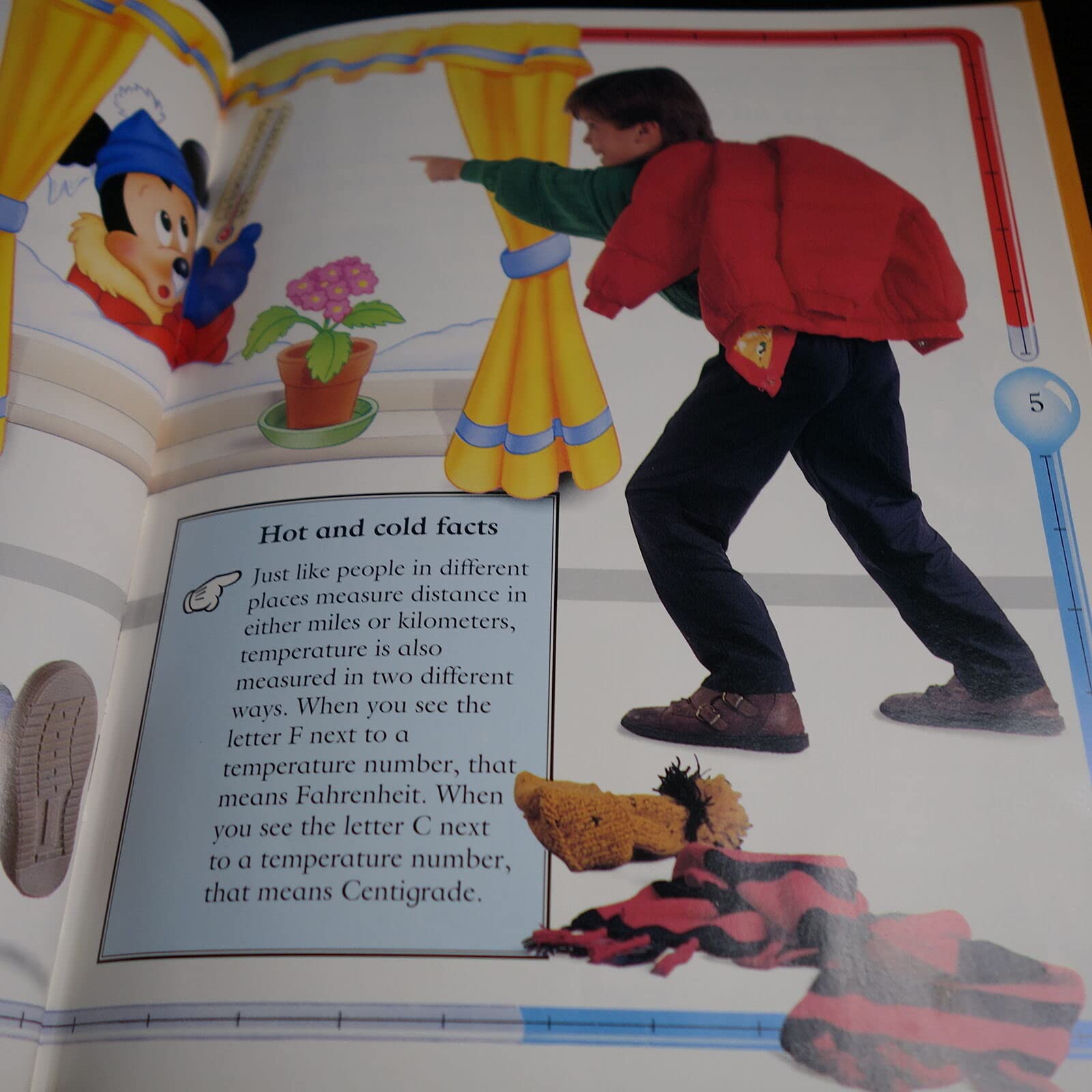 Can you really fry an egg on a stone? (Mickey wonders why),Used