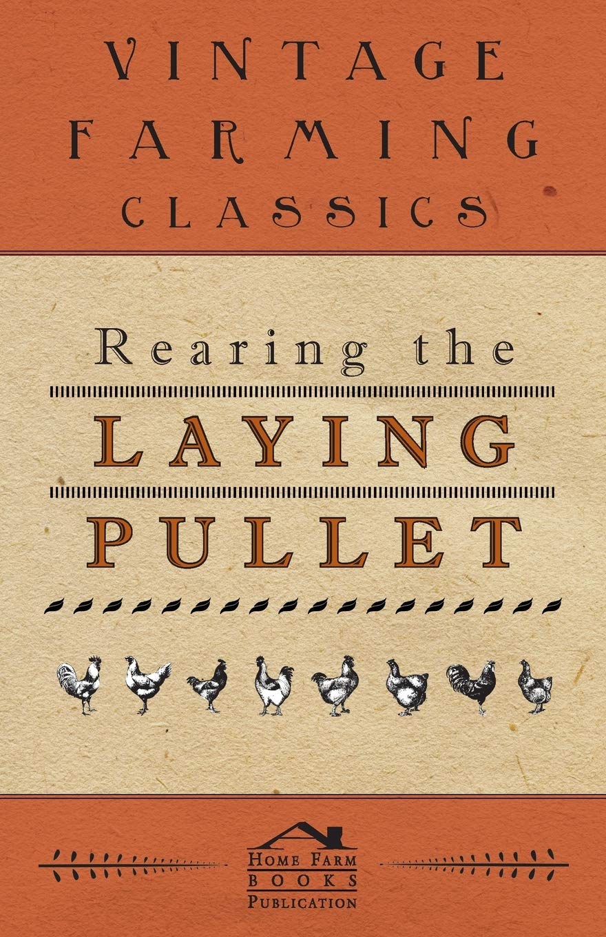 Rearing the Laying Pullet,Used