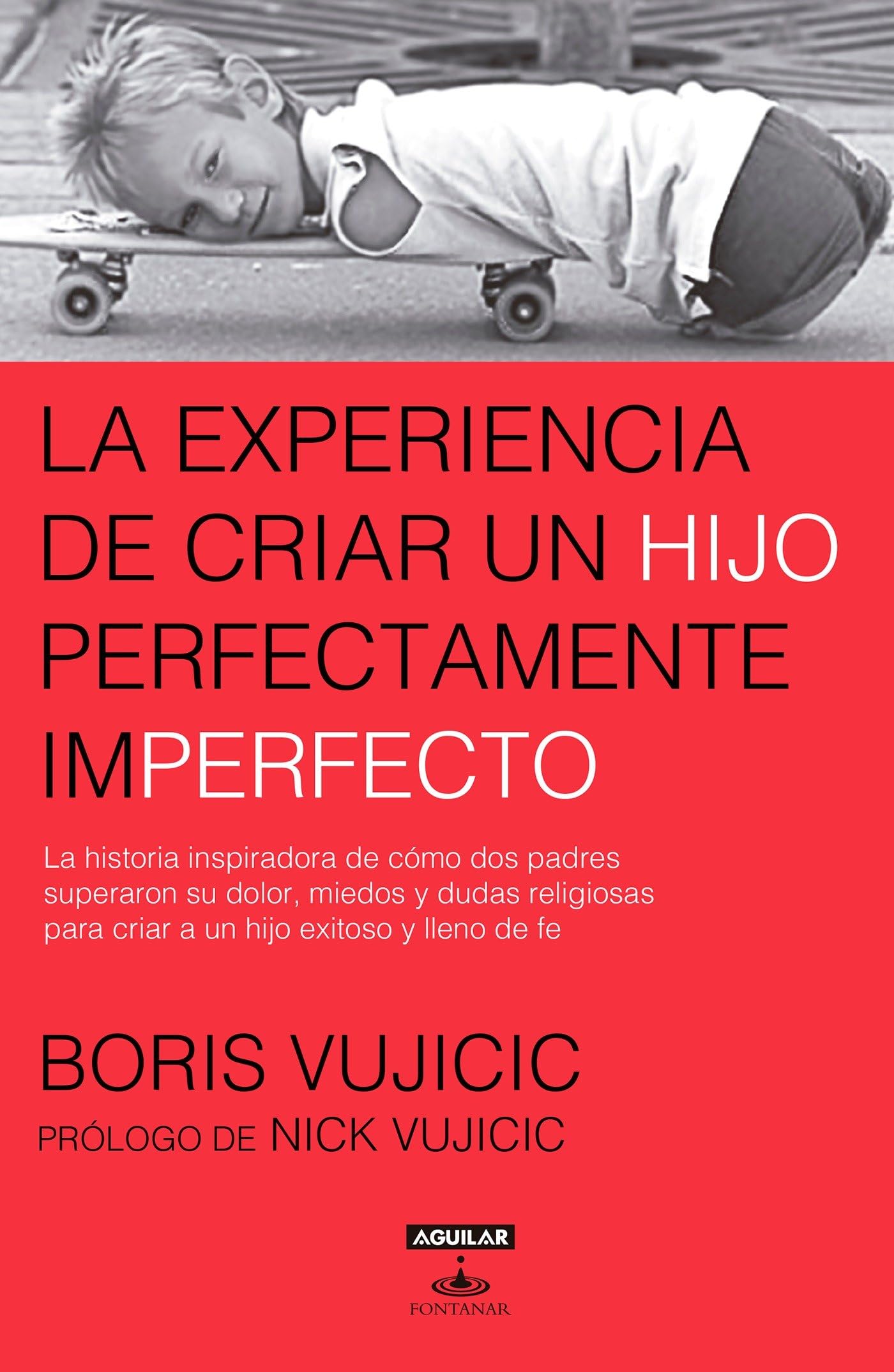 La experiencia de criar al hijo perfectamente imperfecto / Raising the Perfectly Imperfect Child: Facing the Challenges with Str,Used