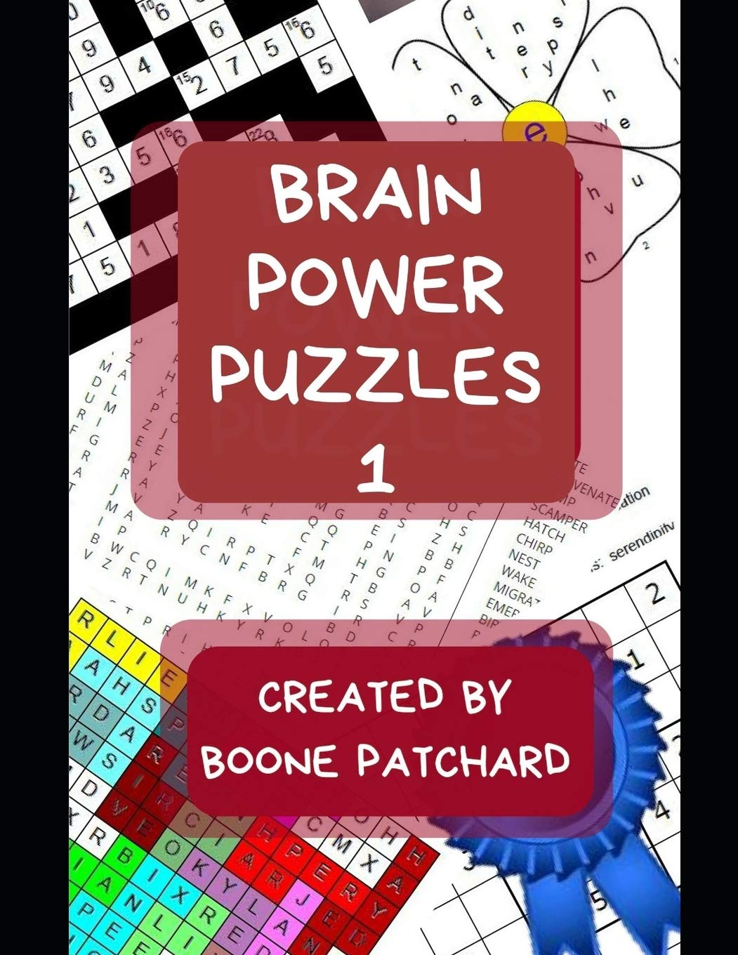 Brain Power Puzzles: Activity Book of Word Searches, Sudoku, Math Puzzles, Hidden Words, Anagrams, Scrambled Words, Codes, Riddl,Used