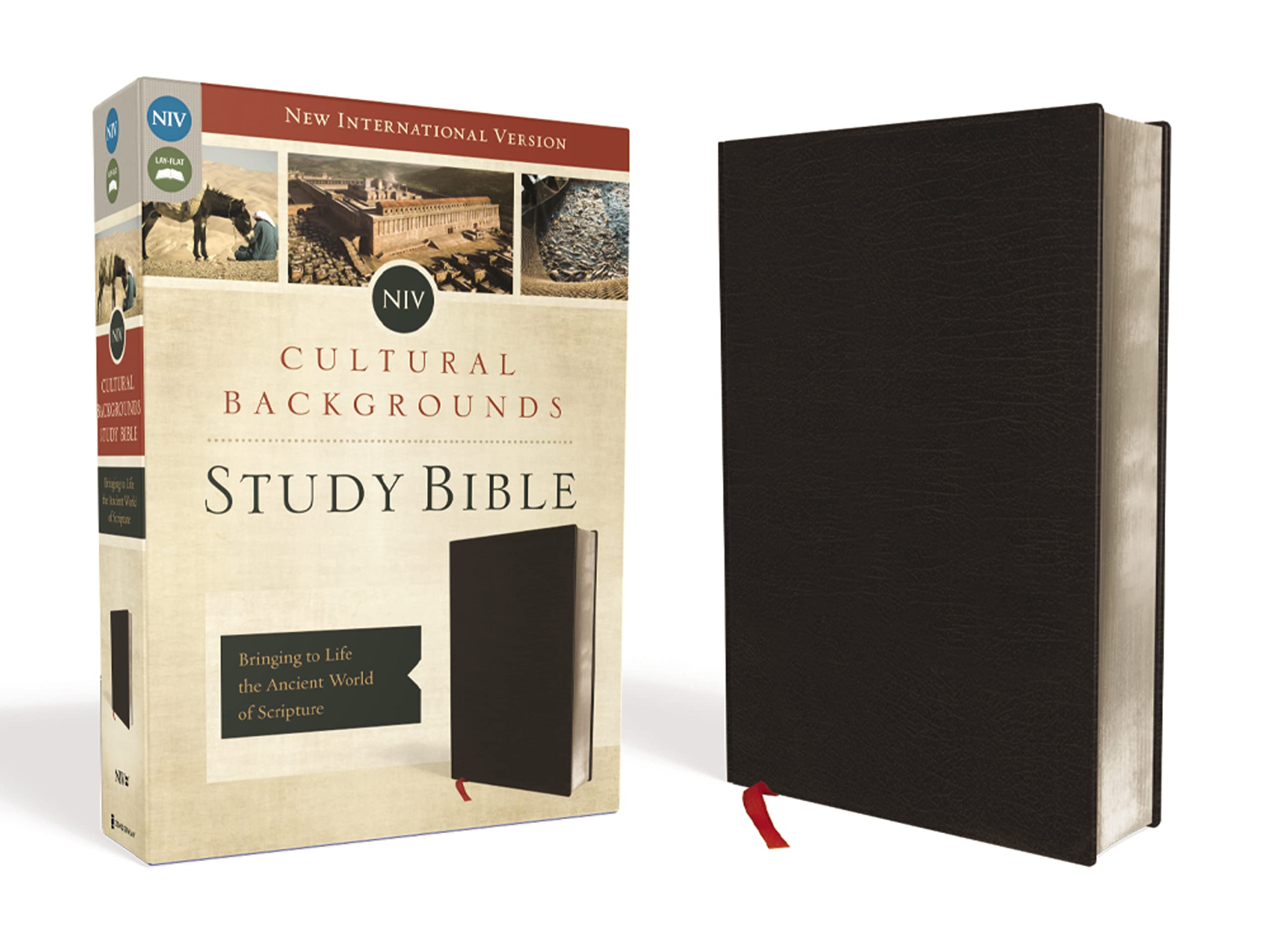 Niv, Cultural Backgrounds Study Bible (Context Changes Everything), Bonded Leather, Black, Red Letter: Bringing To Life The Anci