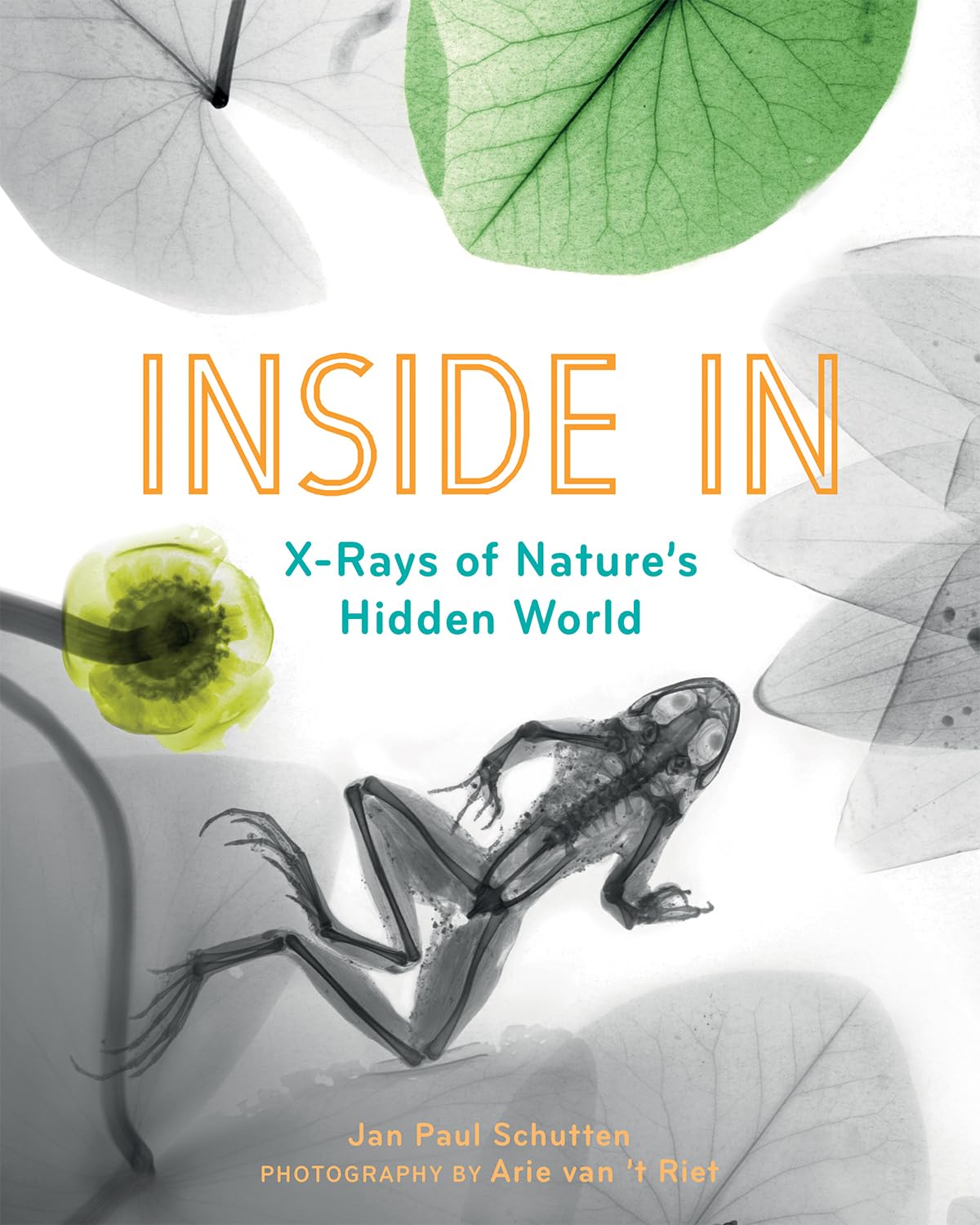 Inside In: XRays of Nature's Hidden World,New