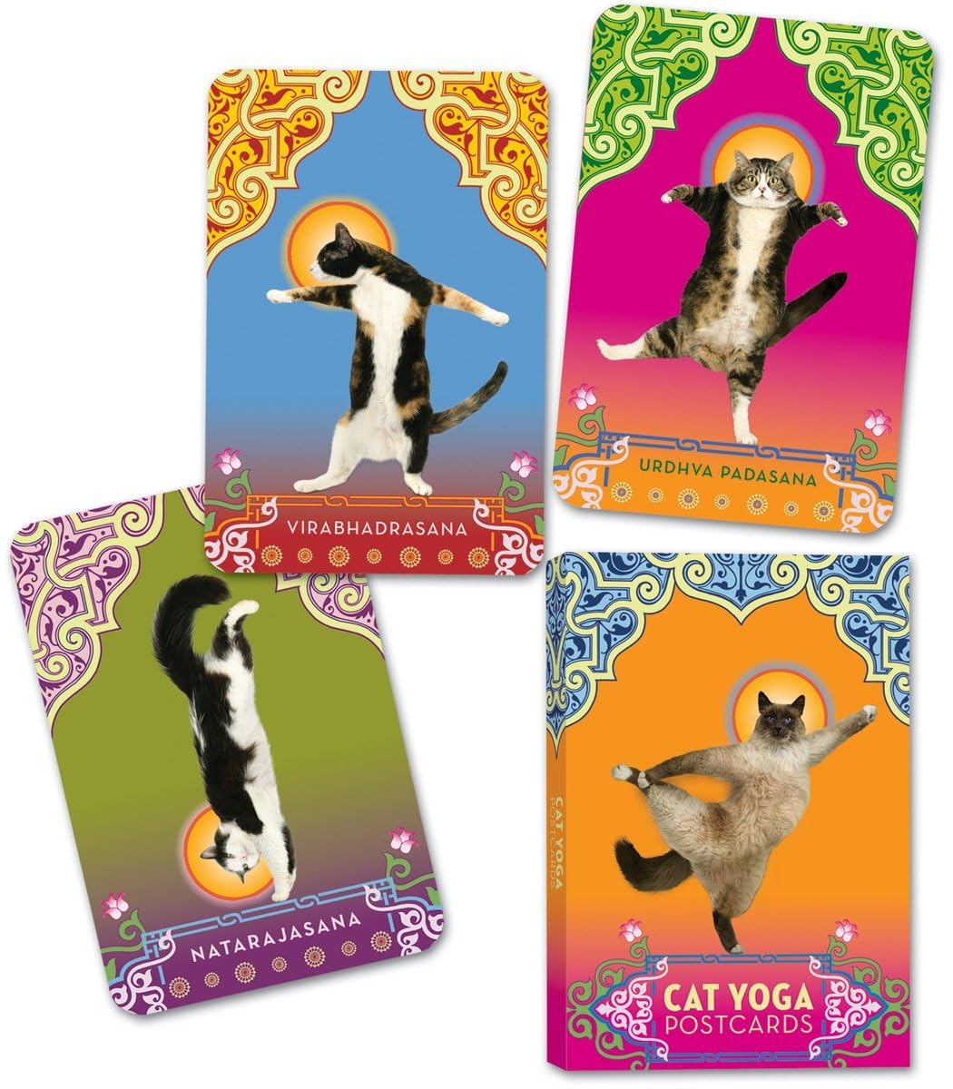 Cat Yoga Postcards,Used