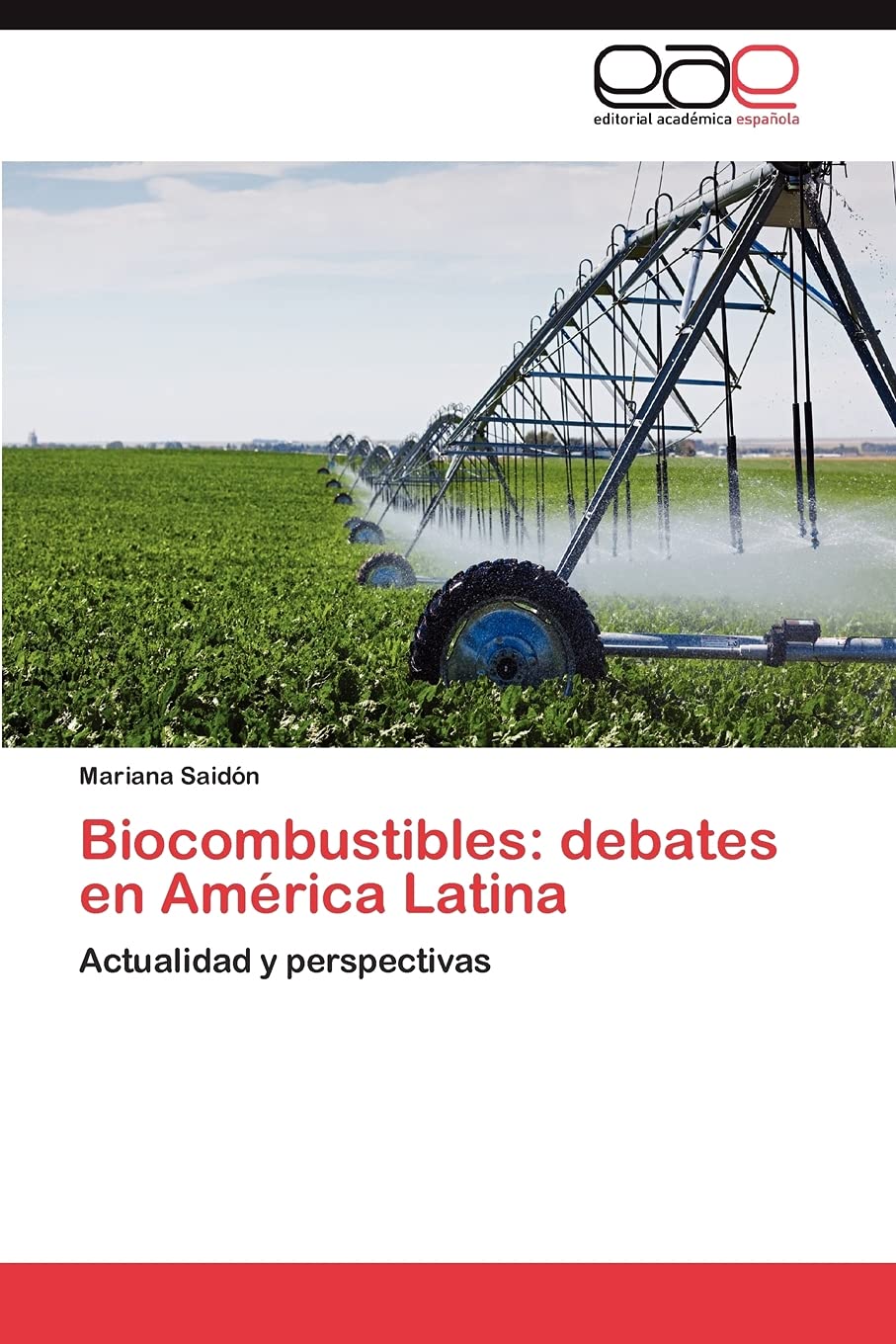 Biocombustibles: debates en Amrica Latina: Actualidad y perspectivas (Spanish Edition),Used