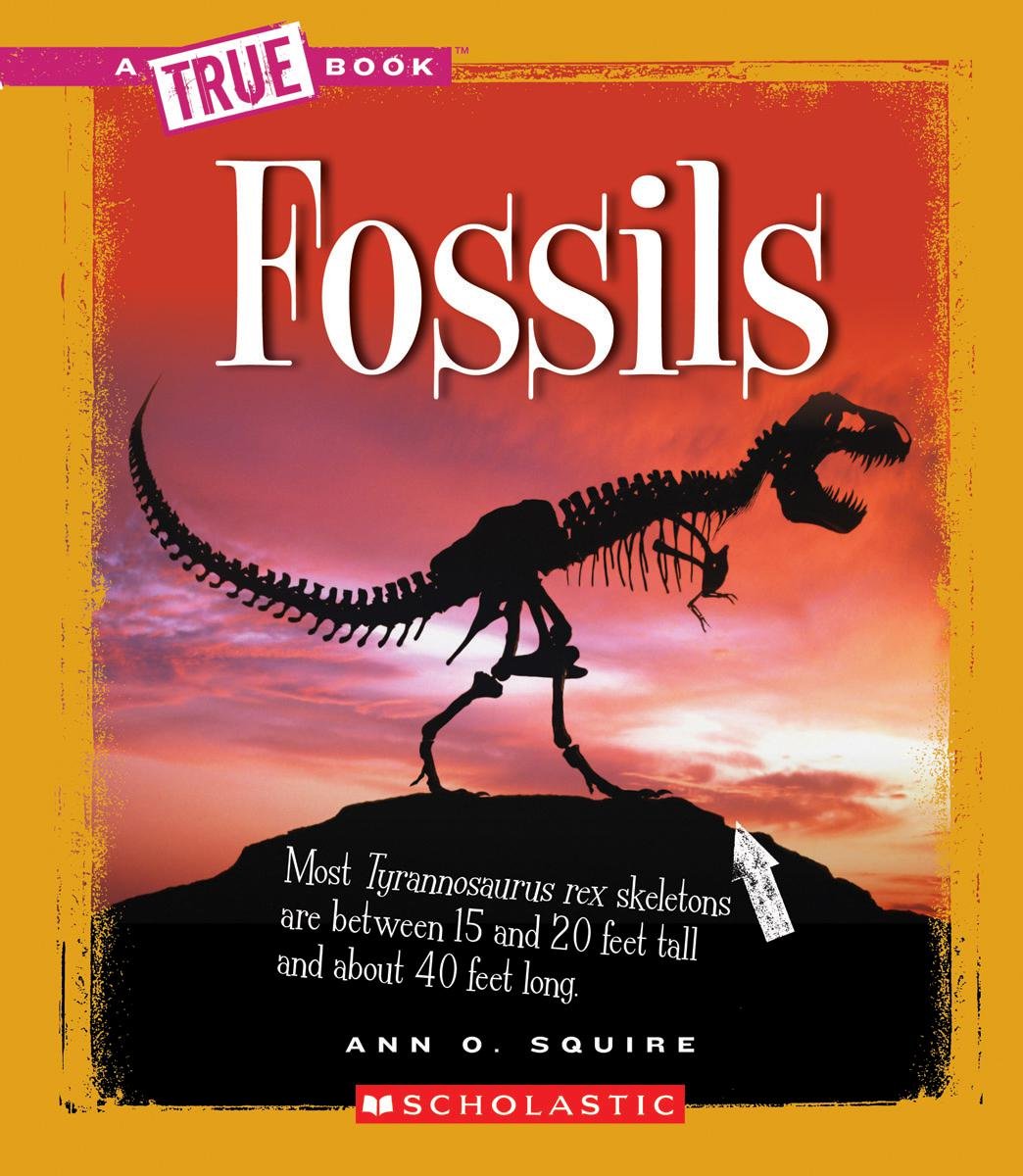 Fossils (True Books),Used