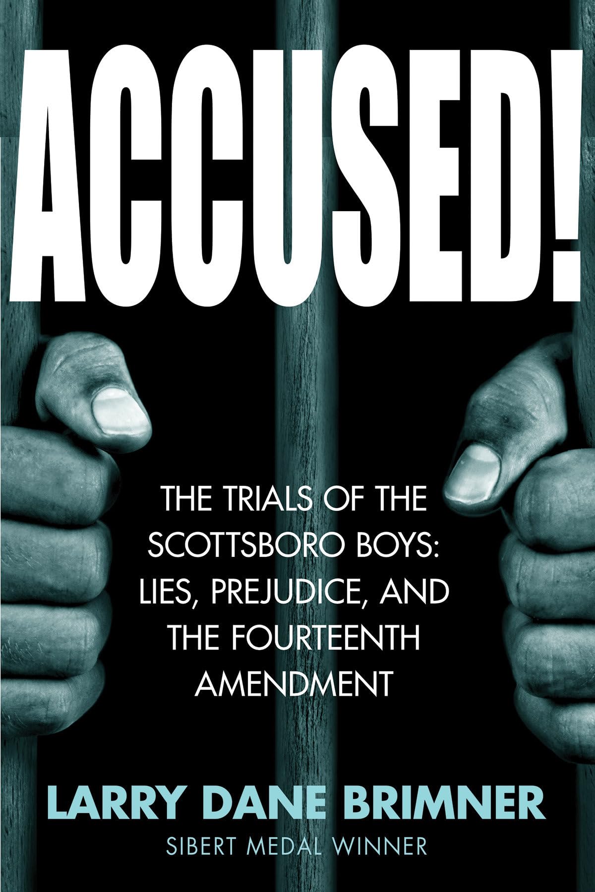 Accused!: The Trials of the Scottsboro Boys: Lies, Prejudice, and the Fourteenth Amendment,Used