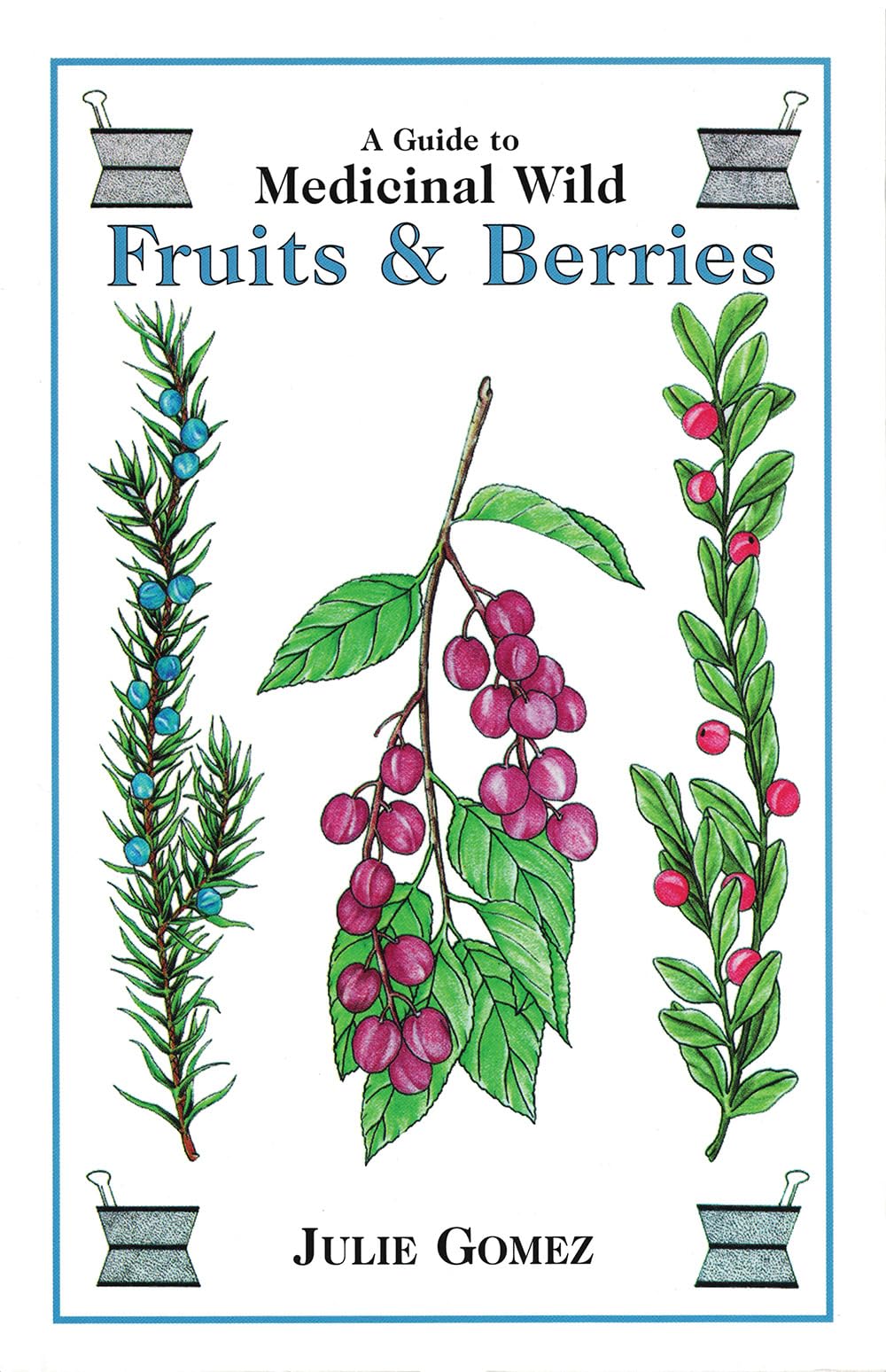 A Guide to Medicinal Wild Fruits and Berries,Used