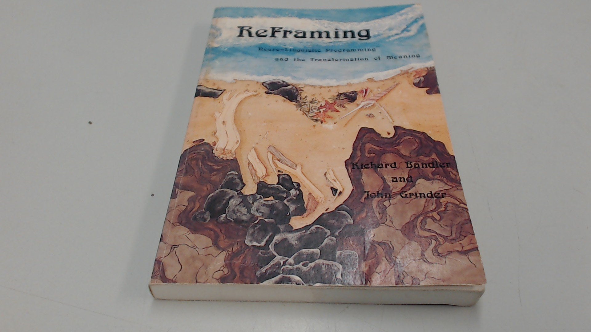 Reframing: NeuroLinguistic Programming and the Transformation of Meaning,Used