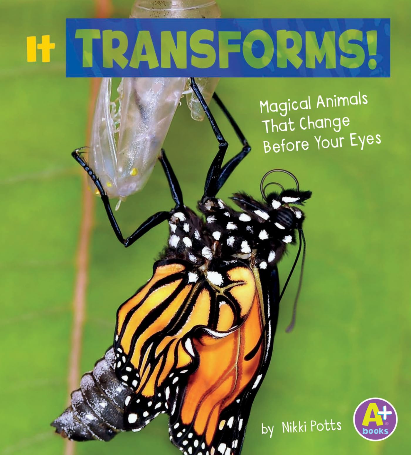 It Transforms!: Magical Animals That Change Before Your Eyes,Used