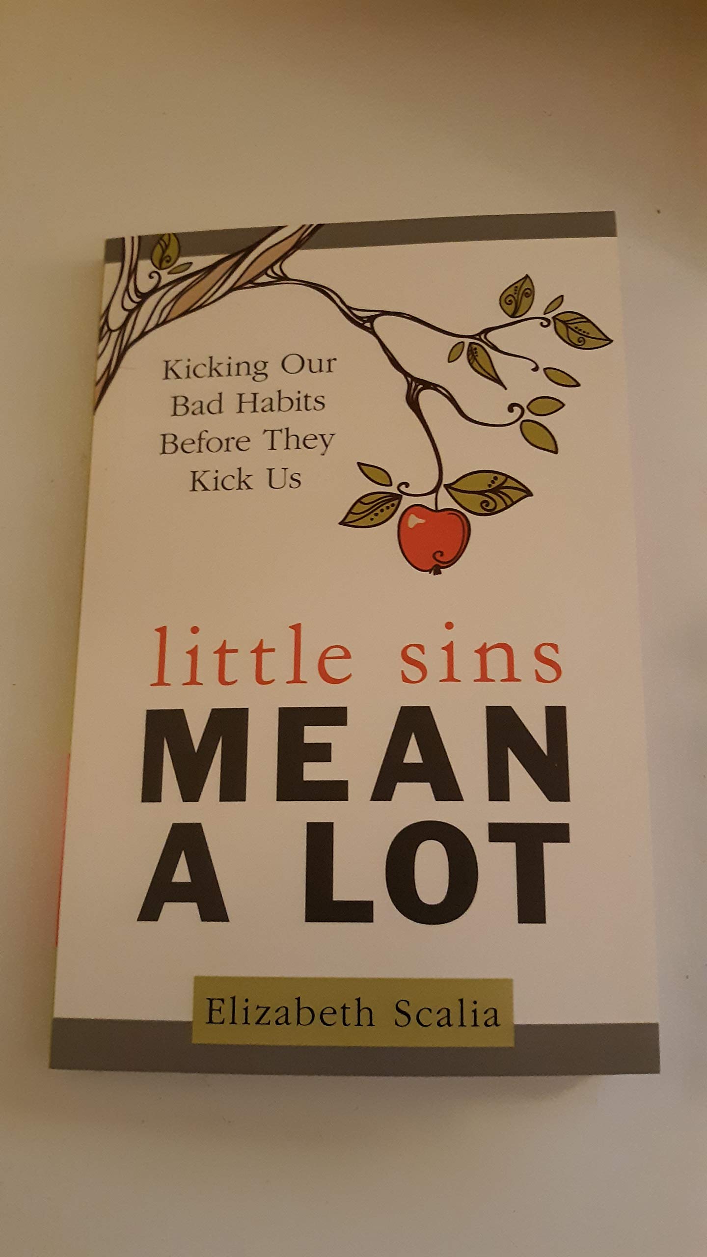 Little Sins Mean a Lot: Kicking Our Bad Habits Before They Kick Us,Used