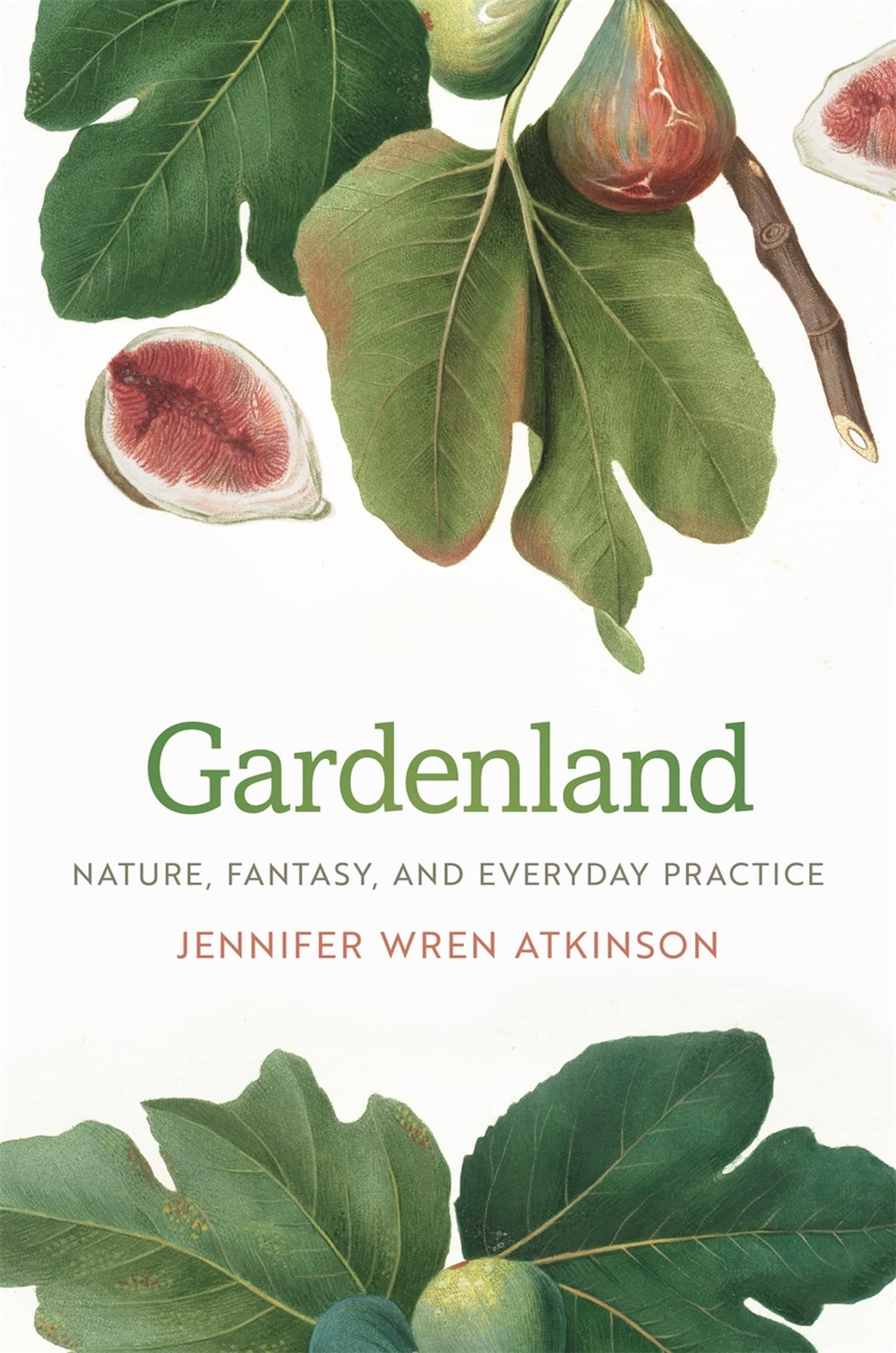 Gardenland: Nature, Fantasy, And Everyday Practice,Used