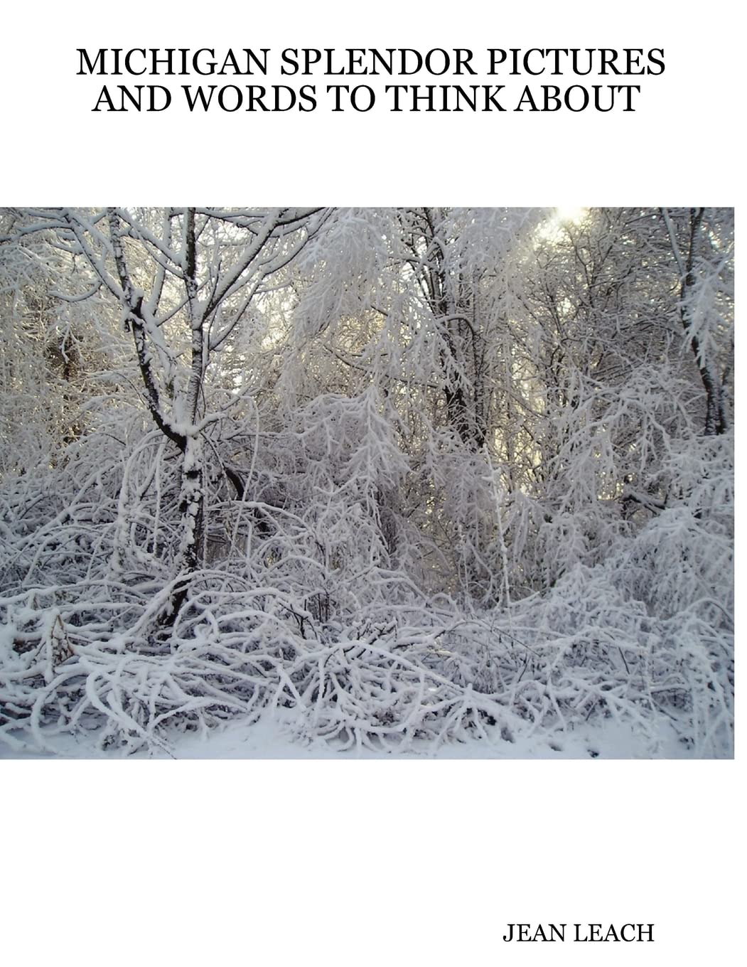 Michigan Splendor Pictures and Words to Think About,Used