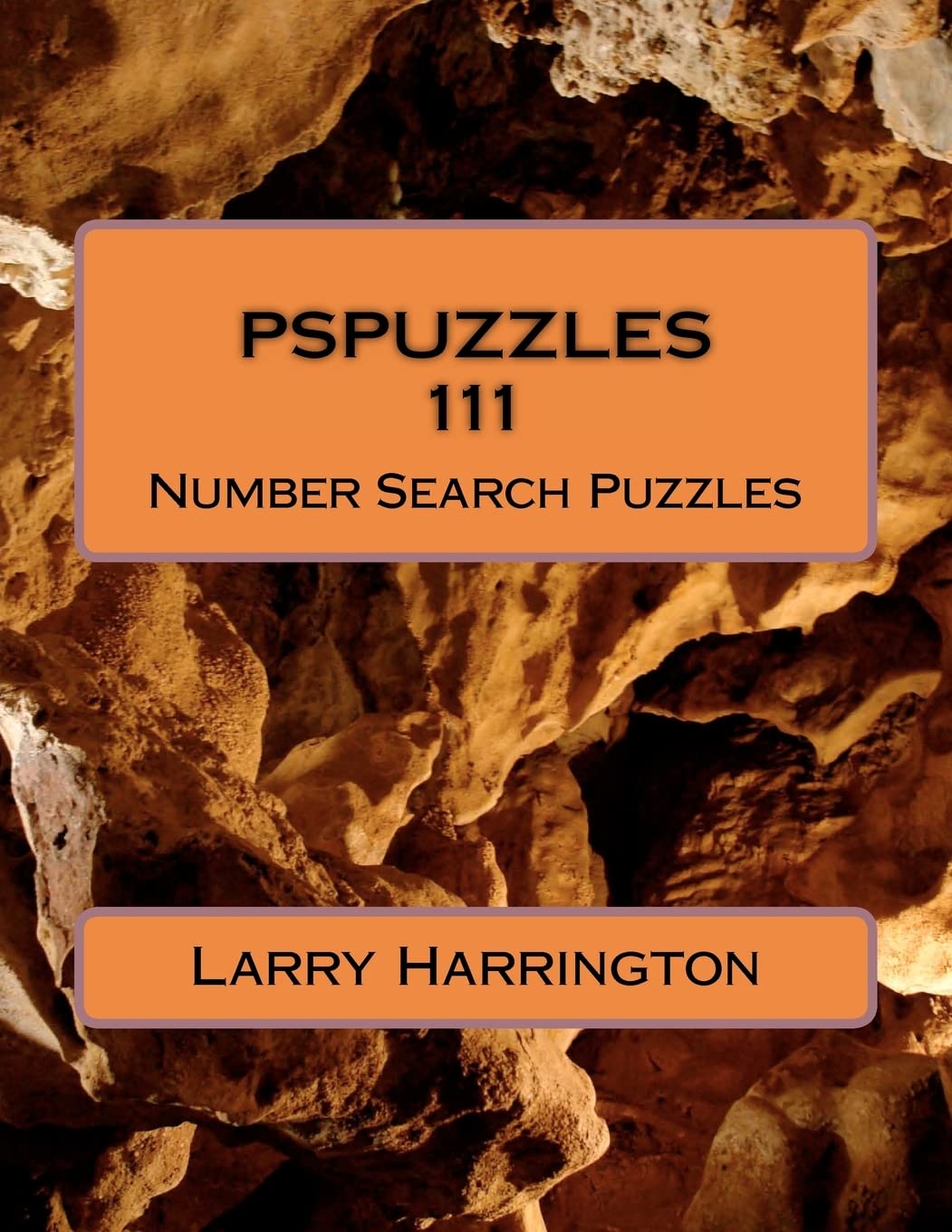 Number Search Puzzle Book,Used