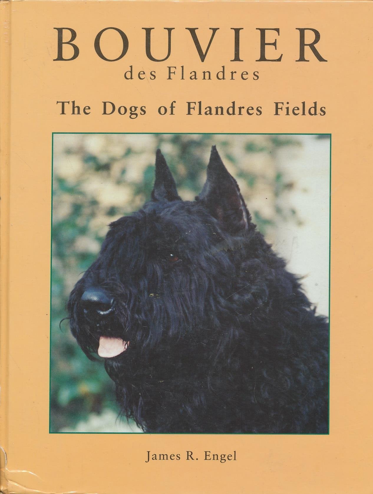 Bouvier Des Flanders: The Dogs of Flandres Fields,Used