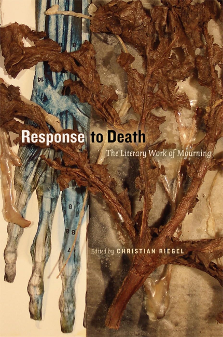 Response to Death: The Literary Work of Mourning,Used