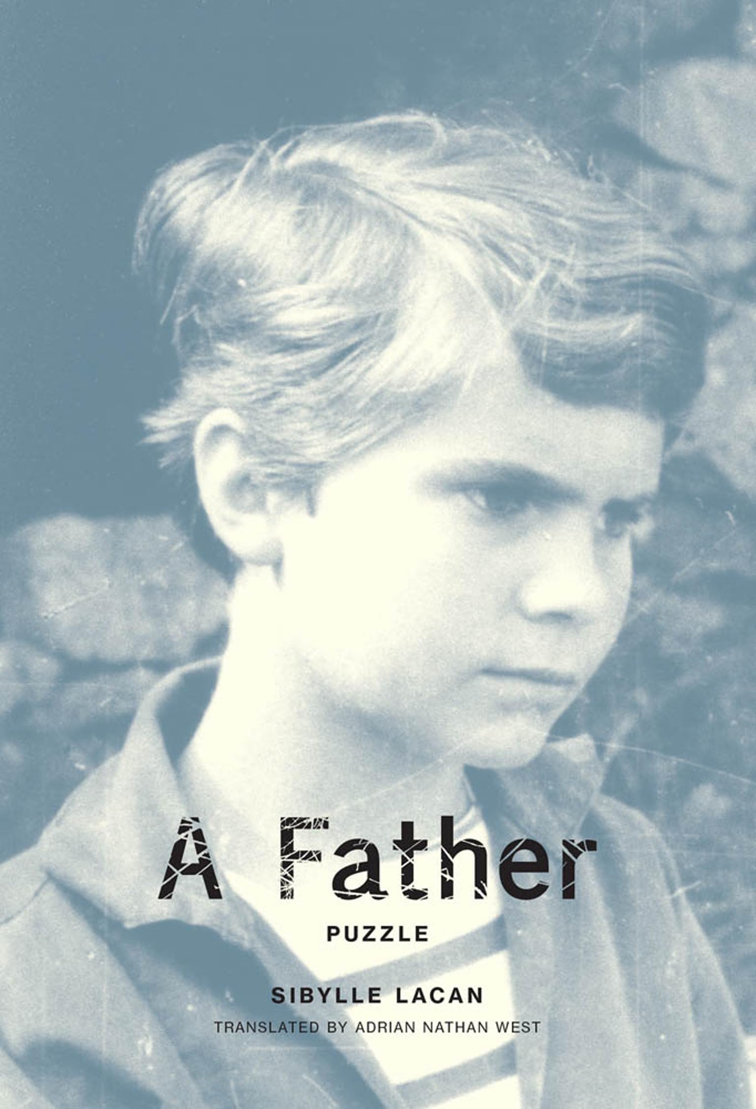 A Father: Puzzle (Mit Press),Used