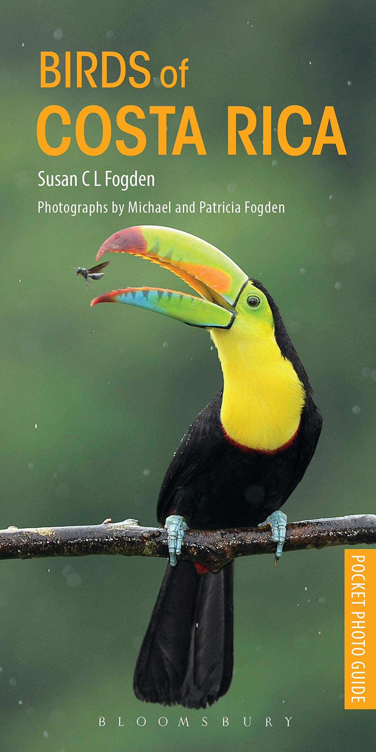 Birds of Costa Rica (Pocket Photo Guides),Used
