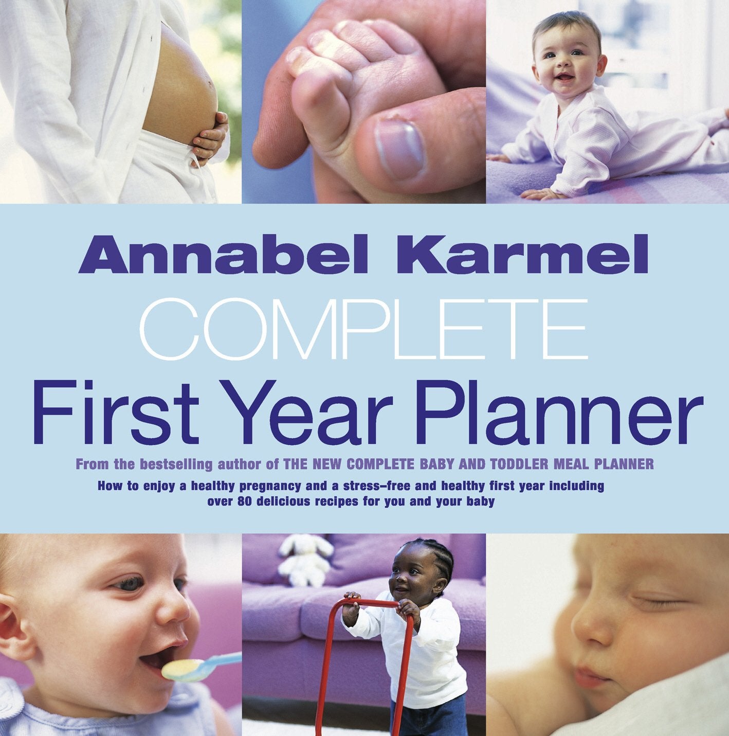 Annabel Karmel's Complete First Year Planner,Used