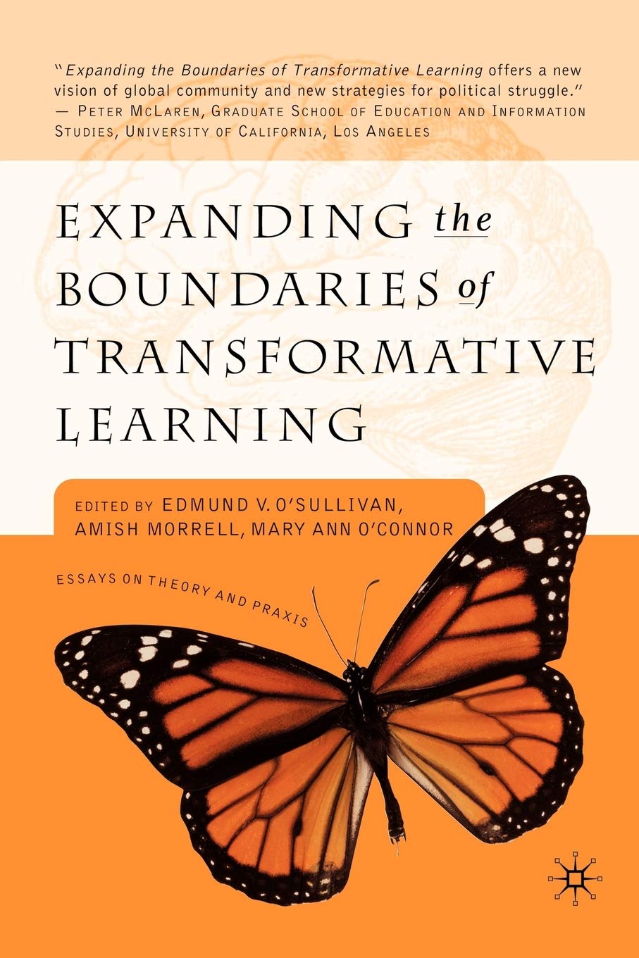 Expanding the Boundaries of Transformative Learning: Essays on Theory and Praxis,Used