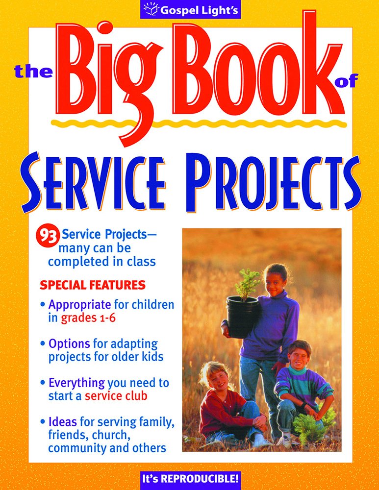 Big Book of Service Projects,Used