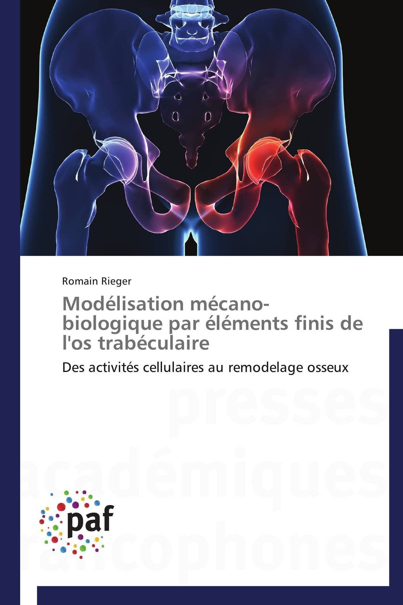 Modlisation mcanobiologique par lments finis de l'os trabculaire: Des activits cellulaires au remodelage osseux (Om,Used