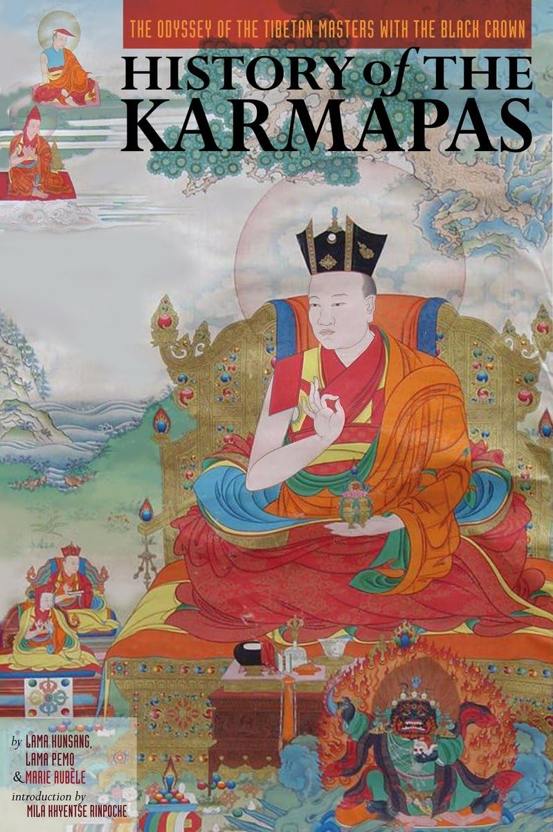 History of the Karmapas: The Odyssey of the Tibetan Masters with the Black Crown,Used