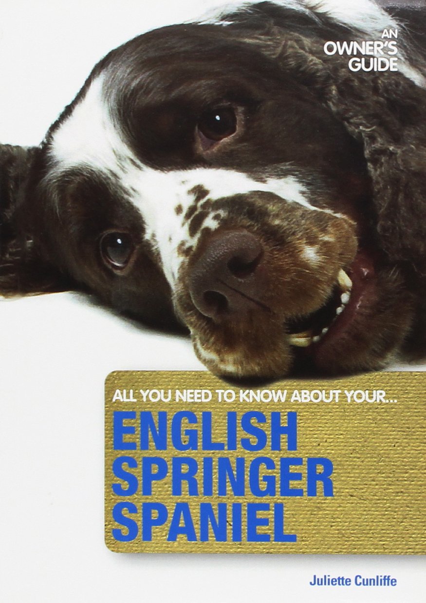English Springer Spaniel: An Owner'S Guide,Used